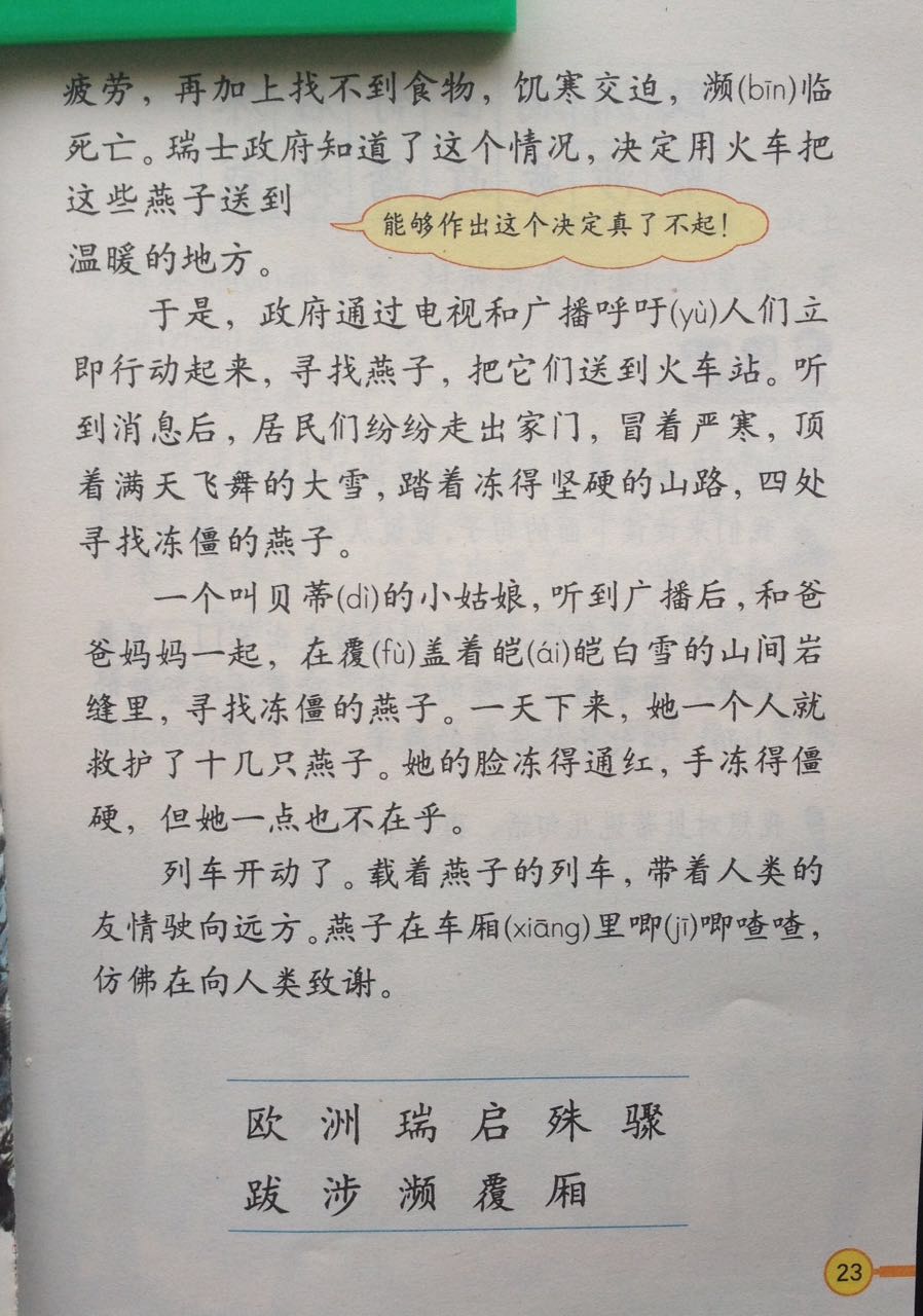燕子专列2